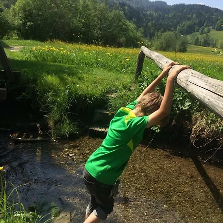 Haus Gmeiner,